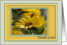 Yellow Compass Flowers, Administrative Professionals Day, Thank you card
