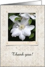 White Clematis, Administrative Professionals Day, Custom Text card