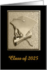 Class of 2025, Graduation Commencement Ceremony, Gold & Black card