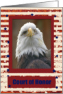 Eagle with Stars Eagle Scout Court of Honor Invitation card