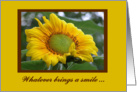 Mother’s Day, To Wife From Husband, Sunflower with rain drops card