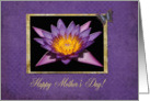 Mother’s Day, Water Lily, Grandmother card