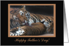 Father’s Day, From Daughter, Tiger Family card