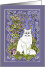 Birthday Greetings, White cat in the garden. card