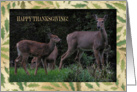 Deer Family, Happy Thanksgiving, Across the Miles card