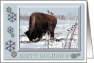 Buffalo in the Snow with Snowflake Frame, Happy Holidays card