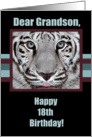 Birthday Greetings,18th Birthday for Grandson, White Tiger card