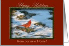 Cardinal in the Snow, from our new Home, Happy Holidays card