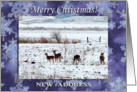 We have moved, Merry Christmas, In the Snow, Deer and Pheasants card