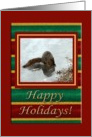 Squirrel Taking a Ice Drink, Happy Holidays card