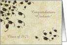 Congratulations Graduate, Caps in the Air, Class of 2025, Custom Text card