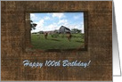 Happy 100th Birthday, Friendly Welcome from Horses card