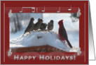 New Address, Happy Holidays, Cardinal Singing with the Sparrows card