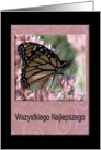 Wszystkiego Najlepszego, Happy Birthday in Polish, Beautiful Butterfly card