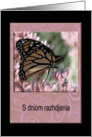 S dniom razhdjenia, Happy Birthday in Russian, Beautiful Butterfly card