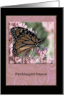 Beautiful Monarch Butterfly, Penblwydd Hapus, Happy Birthday in Welsh card