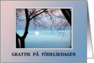 Pastel Sky, Grattis p fdelsedagen, Happy Birthday in Swedish card