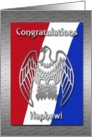 Congratulations Eagle Scout, Nephew, Silver Eagle card