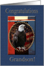 Congratulations Eagle Scout, Grandson, Proud Eagle with Stars card