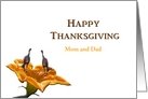 Mom and Dad, Thanksgiving, Two Turkeys on Pumpkin Flower card
