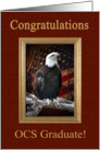 Officer Candidate School Graduation Congratulations, Eagle card