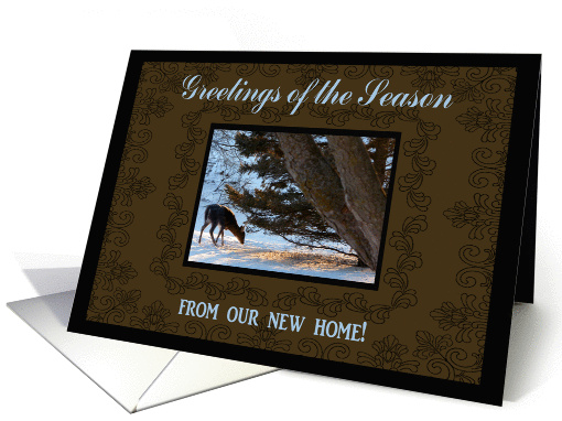 Deer under a pine tree, Greetings of the Season from our new home card