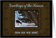 Deer under a pine tree, Greetings of the Season from our new home card