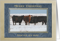 Cows in the Snow, Merry Christmas From Our New Home card