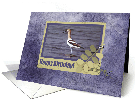 Avocet in Frame with Leaves, Happy Birthday card (1062487)