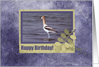Avocet in Frame with Leaves, Happy Birthday card