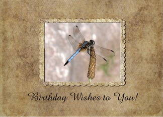 Dragonfly, Birthday,...
