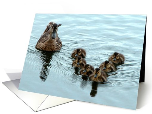 Duck Formation, Mother's Day card (174053)