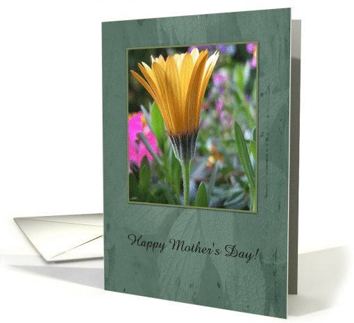 Yellow Gerber Daisey, Happy Mother's Day! card (174055)