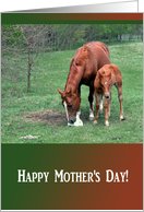 Young and Old Horse, Mother’s Day Card