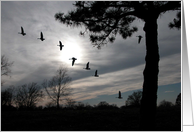 Flight at Sunset, blank card