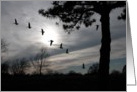 Flight at Sunset, blank card