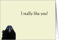 Happy Birthday! card