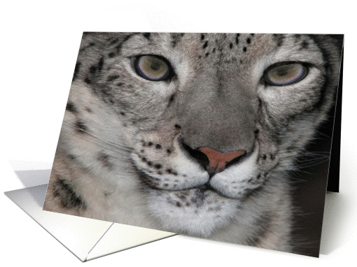 Snow Leopard card (179356)