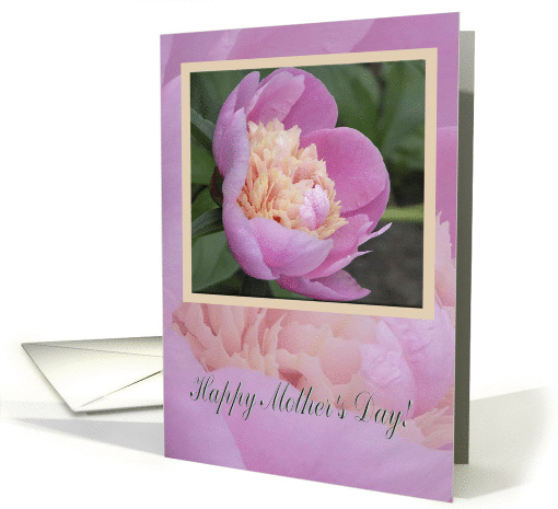 Pink Peony, Mother's day card (182201)