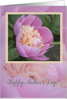 Pink Peony, Mother’s day card