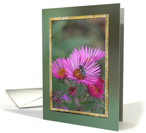 Busy bee on Pink English Aster Flowers card (182548)