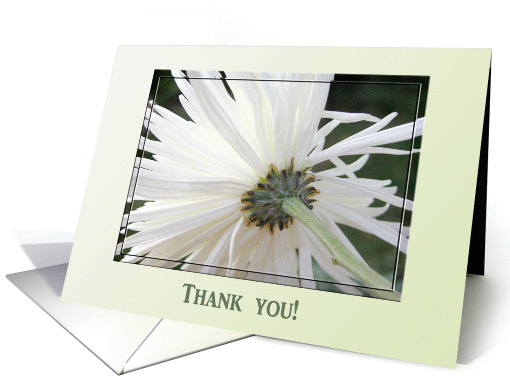 Simple White, Thank you! card (183910)