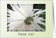 Simple White, Thank you! card