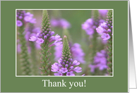 Field of Purple, Thank you! card