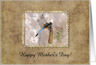 Dragonfly, Mother’s Day card