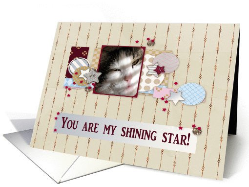 Funny Face, You are my shining star, Mother's Day card (184139)