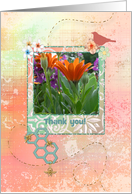 Orange Gerber Daisy with Birds and Bees, Custom Text card