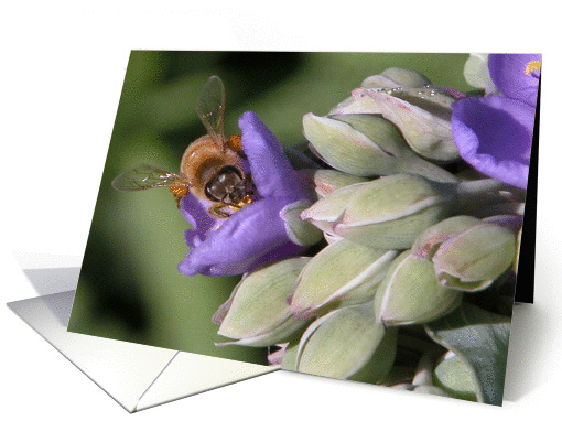 Bee!/blank card (191452)