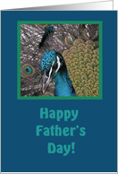 Peacock!/Father’s Day card