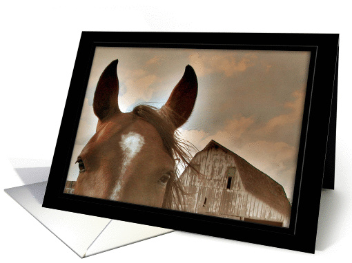 Face to Face, Happy Birthday, Horse card (193427)